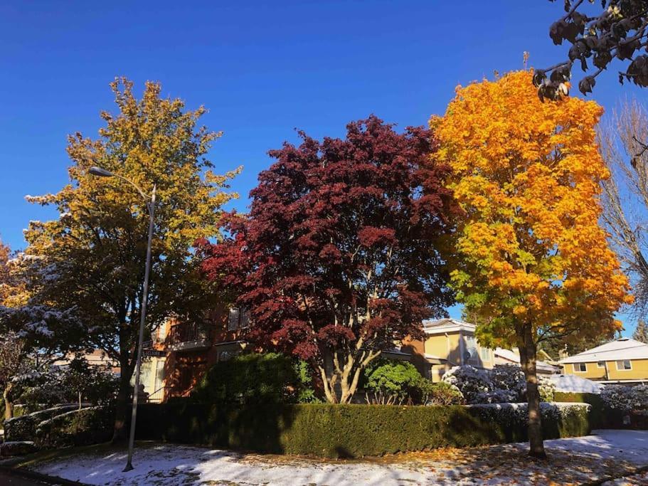 Super Cosy 8Bed & 6Bath In Vancouver Heart Near To Airport And Downtown Eksteriør bilde