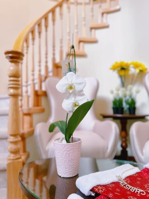 Super Cosy 8Bed & 6Bath In Vancouver Heart Near To Airport And Downtown Eksteriør bilde