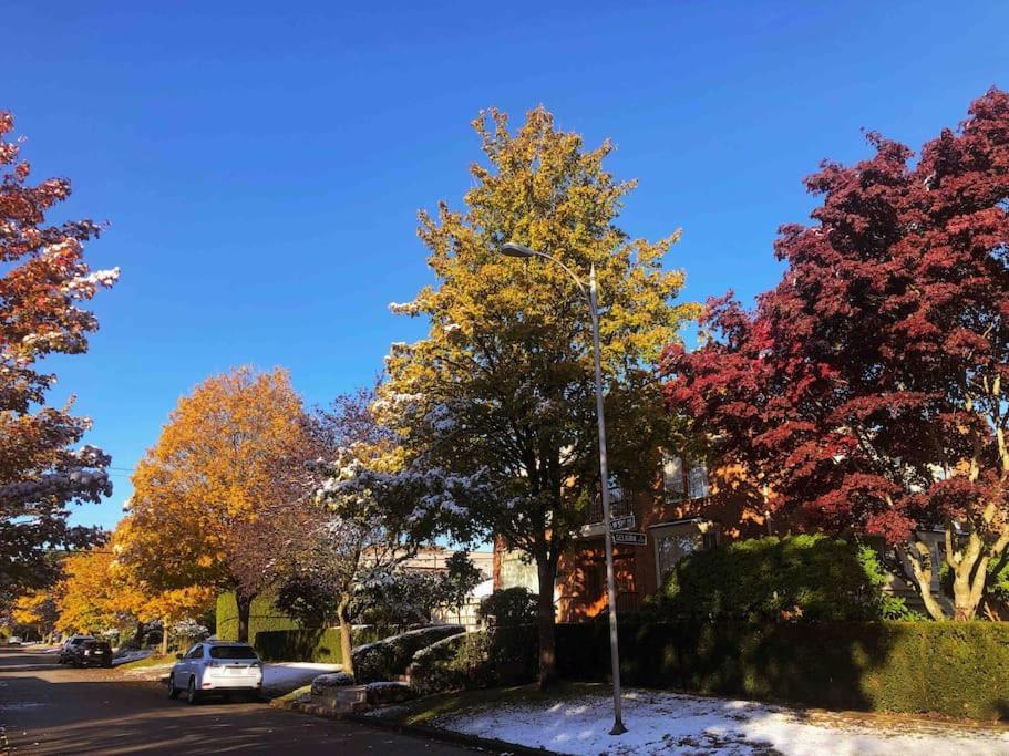 Super Cosy 8Bed & 6Bath In Vancouver Heart Near To Airport And Downtown Eksteriør bilde